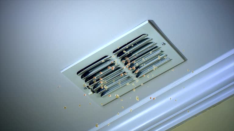 Best General Air Duct Cleaning  in Decatur, MS